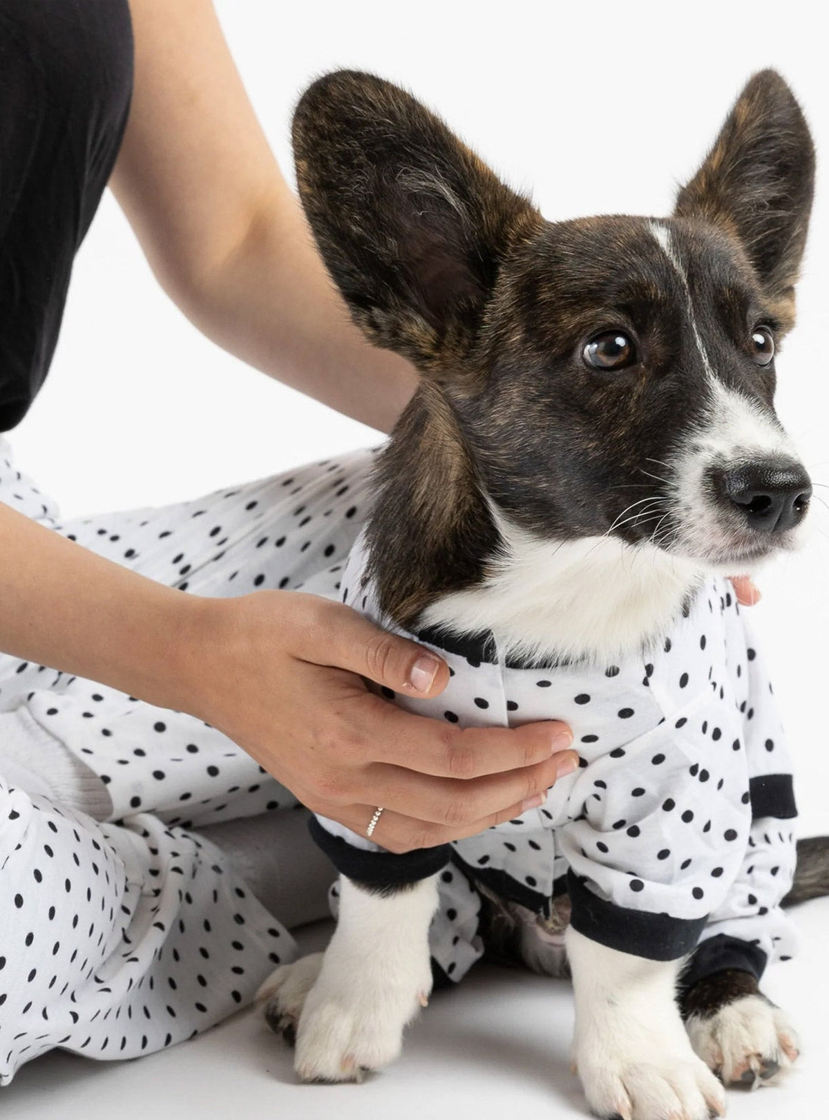 Buy One Dog Polka Dot PJ Get Free Human Matching