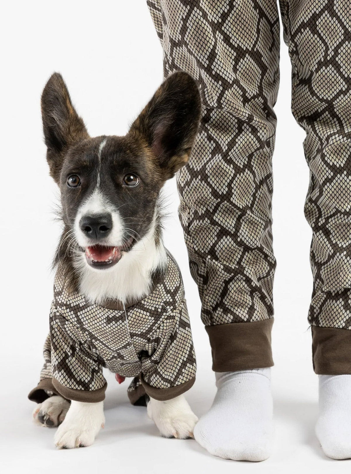 Buy One Dog Snakeskin PJ Get Free Human Matching