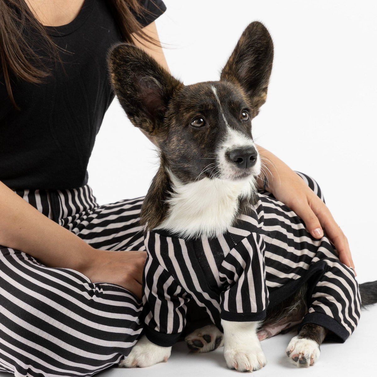 Buy One Dog Stripe PJ Get Free Human Matching