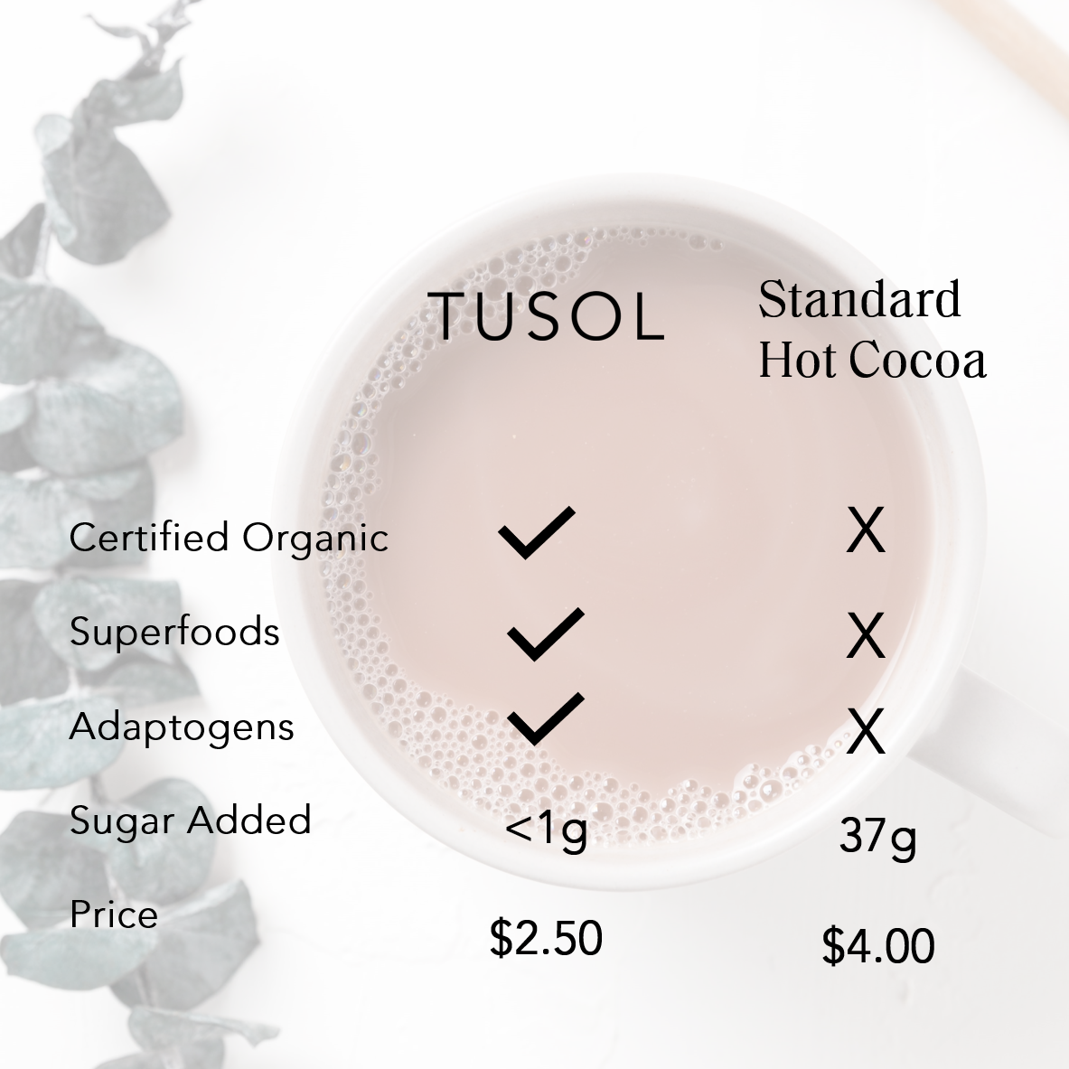 Organic Superfood Latte Mix by TUSOL Wellness