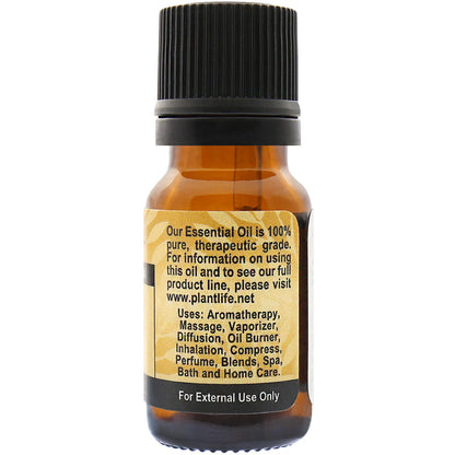 Caraway Essential Oil