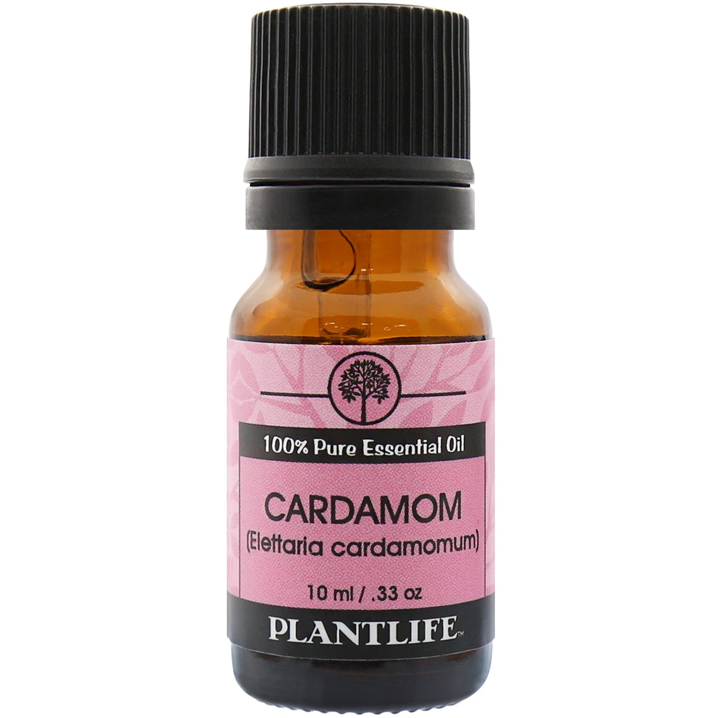 Cardamom Essential Oil