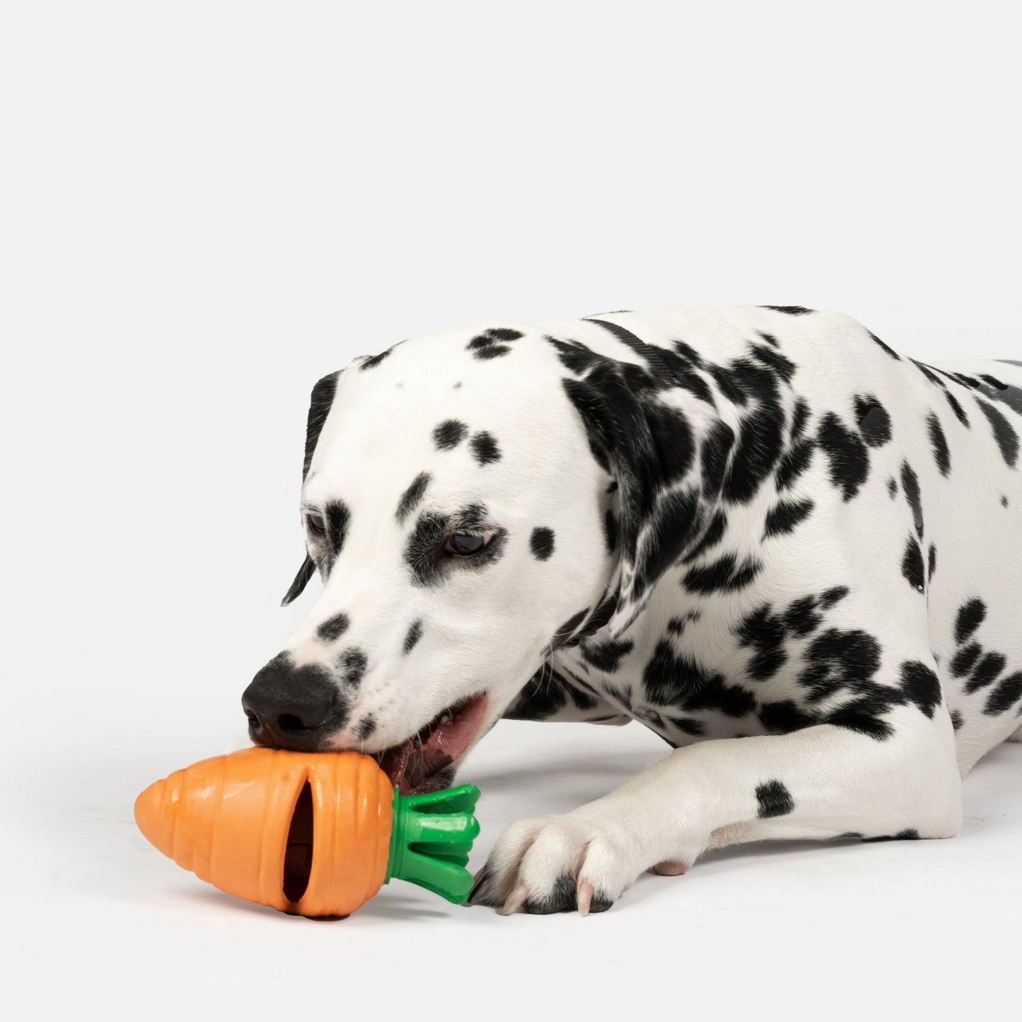 Carrot Dog Toy