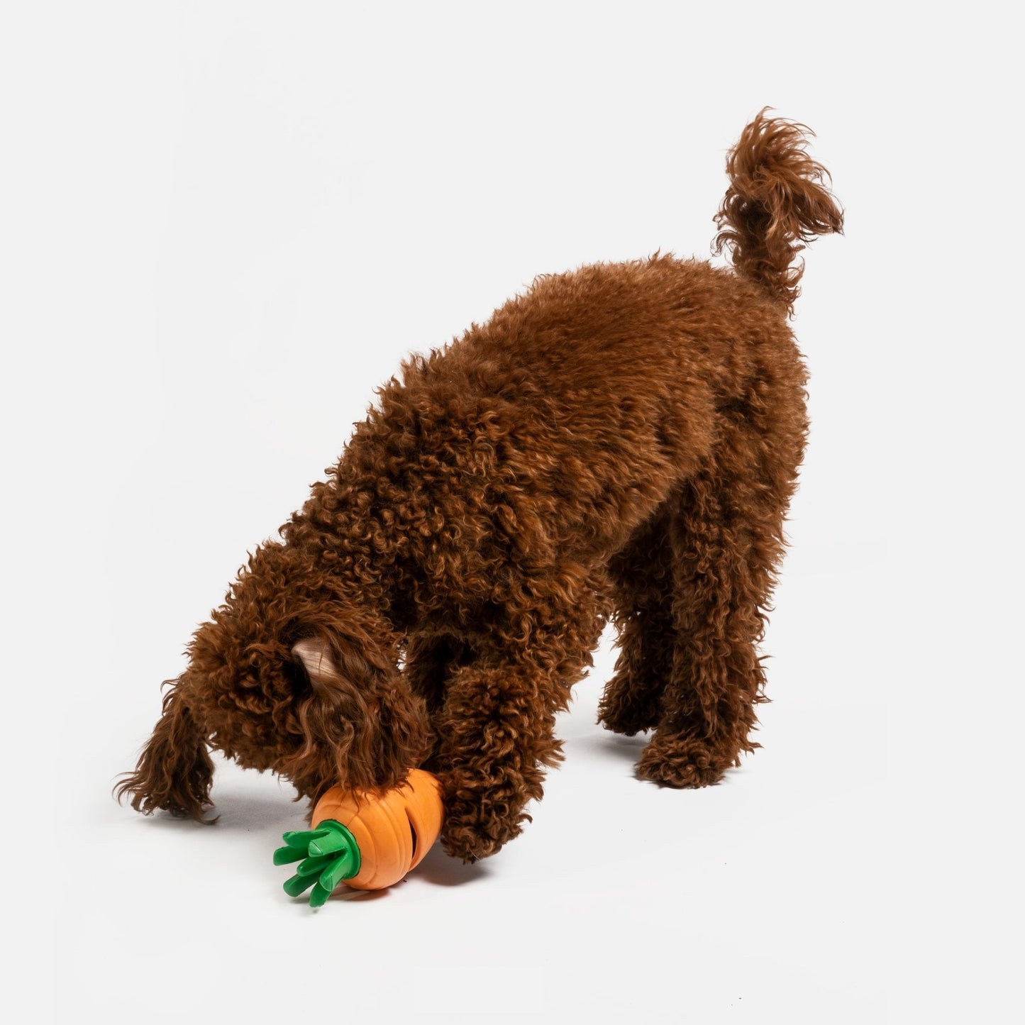 Carrot Dog Toy