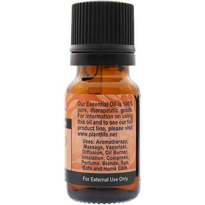 Carrot Seed Essential Oil