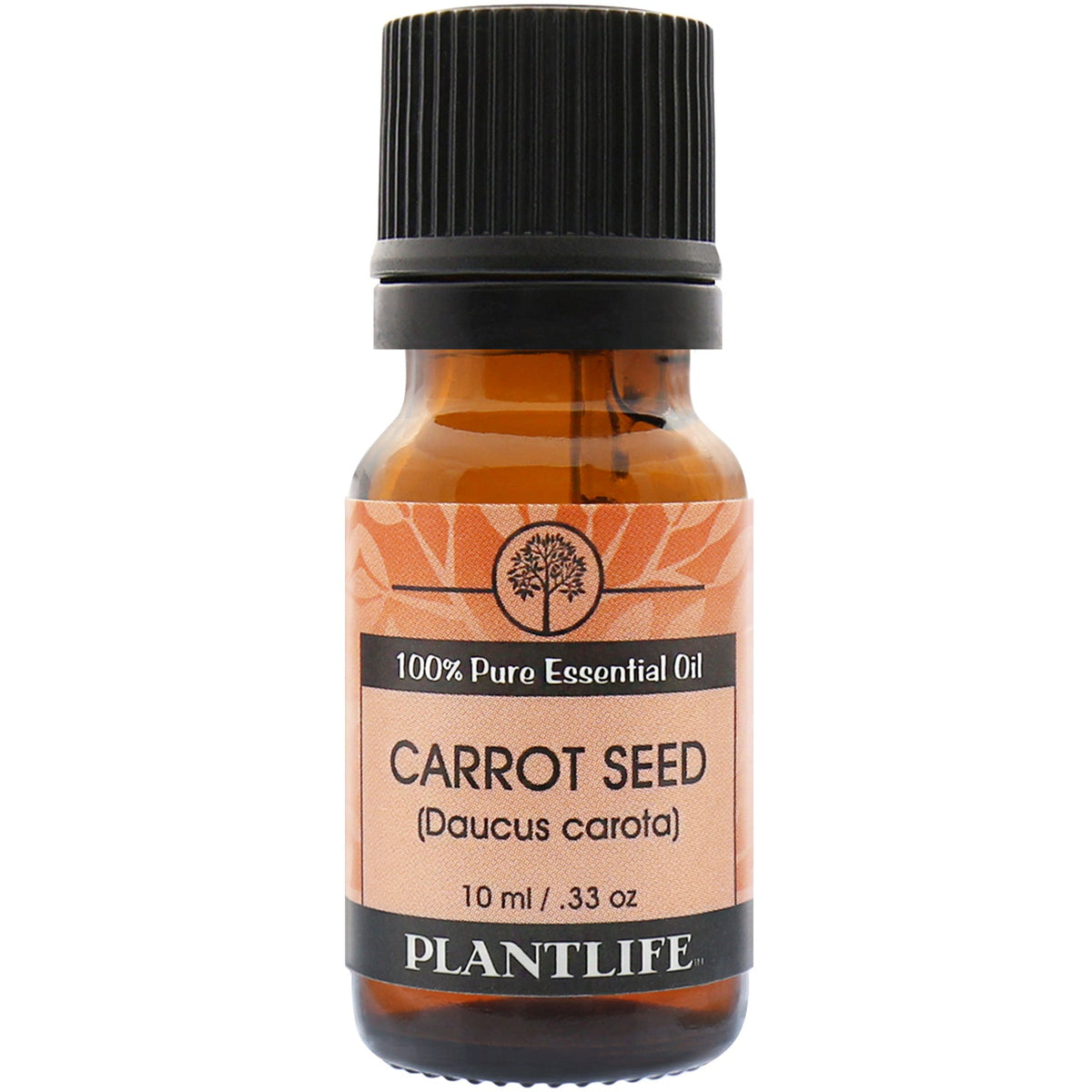 Carrot Seed Essential Oil