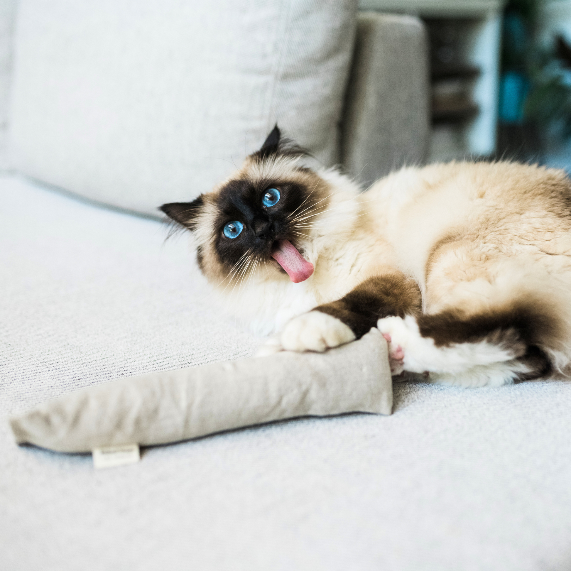 Cat Kicker Toy for Bunny Kicks in Hemp and Cotton with Organic Catnip