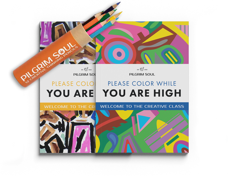 Adult Coloring Book Bundle w/ Pencils  (Vol 1 + Vol 2 + Pencils)