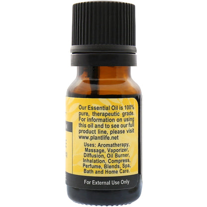 Chamomile Essential Oil