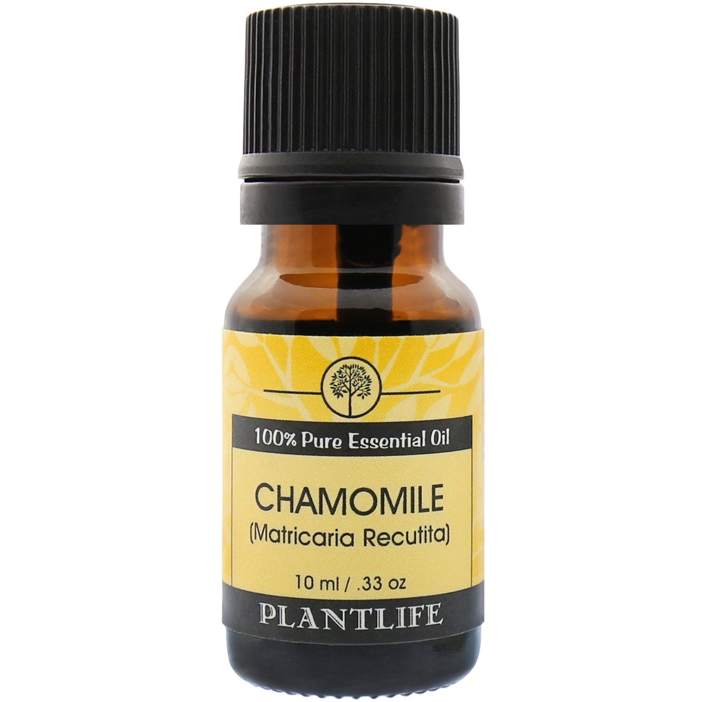 Chamomile Essential Oil