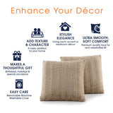 Cheer Collection Faux Fur Square Decorative Pillow 18x18 (Set of 2)