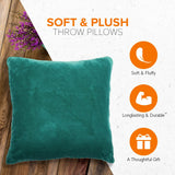 Cheer Collection Microsherpa Throw Pillow - Ultra Soft and Fluffy, Elegant Home Decor, Velvet Stylish Accent Pillows - 18" x 18" - Set of 2