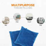 Cheer Collection Microsherpa Throw Pillow - Ultra Soft and Fluffy, Elegant Home Decor, Velvet Stylish Accent Pillows - 18" x 18" - Set of 2