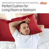 Cheer Collection Velour Throw Pillows - Set of 2 Decorative Couch Pillows - 22" x 22"