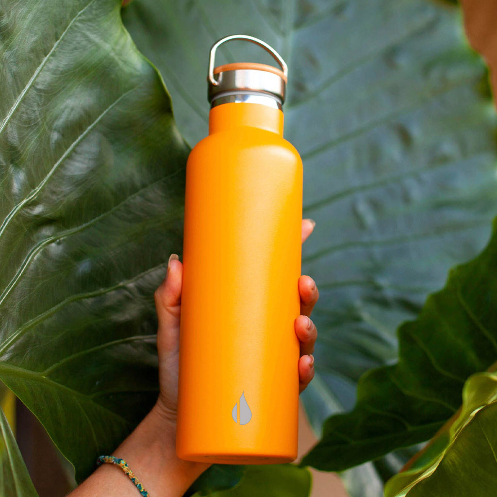 Classic 25oz Water Bottle - Citrus