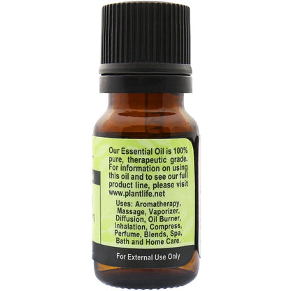 Coriander Essential Oil