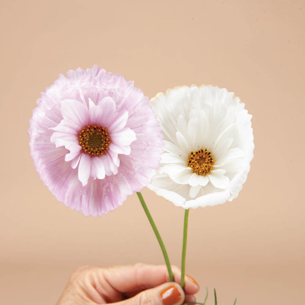 Cut Flower Garden Kit: 6 Seed Tubes + Garden Tools