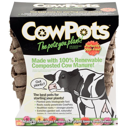 CowPots - 4" Square (Pack of 12)