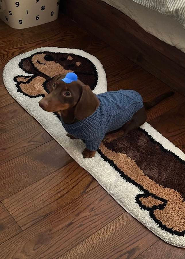 Cute Whimsical Ultra Soft Dachshunt Runner Rug