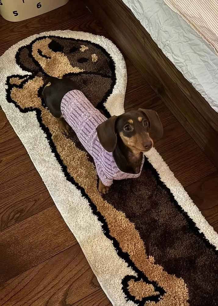 Cute Whimsical Ultra Soft Dachshunt Runner Rug