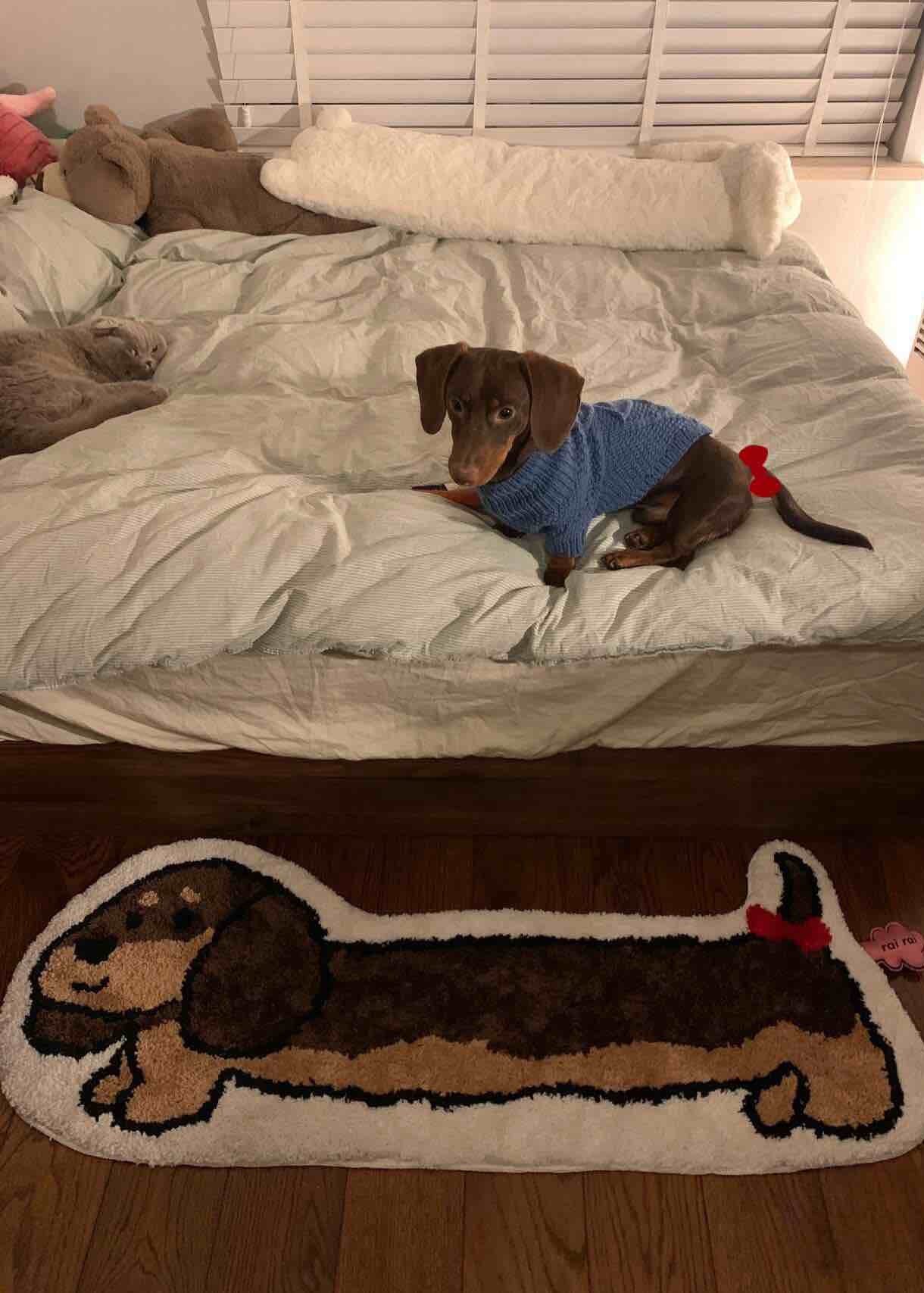Cute Whimsical Ultra Soft Dachshunt Runner Rug