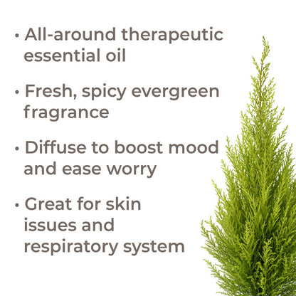 Organic Cypress Essential Oil