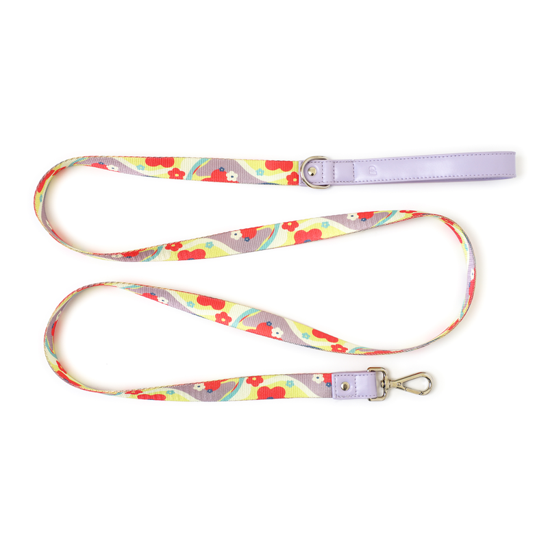 Daisy Leash