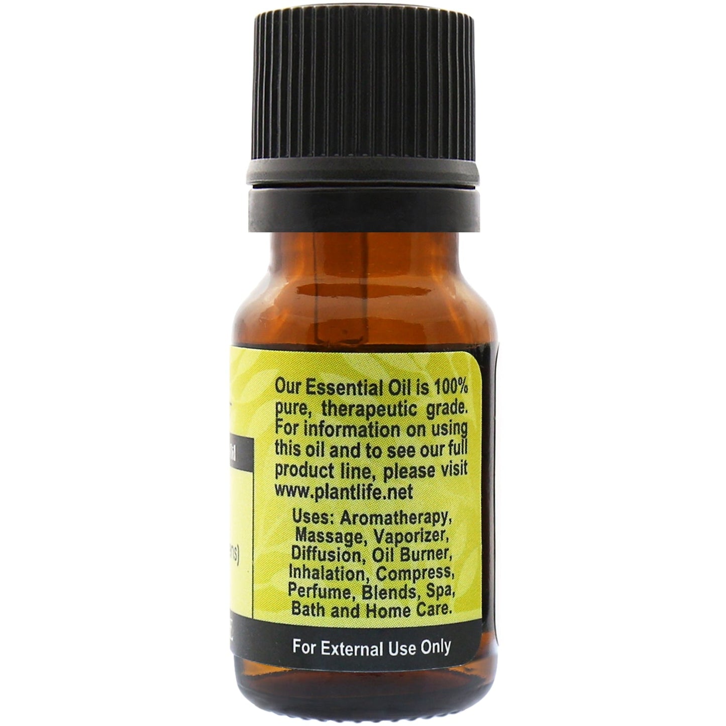 Dill Essential Oil