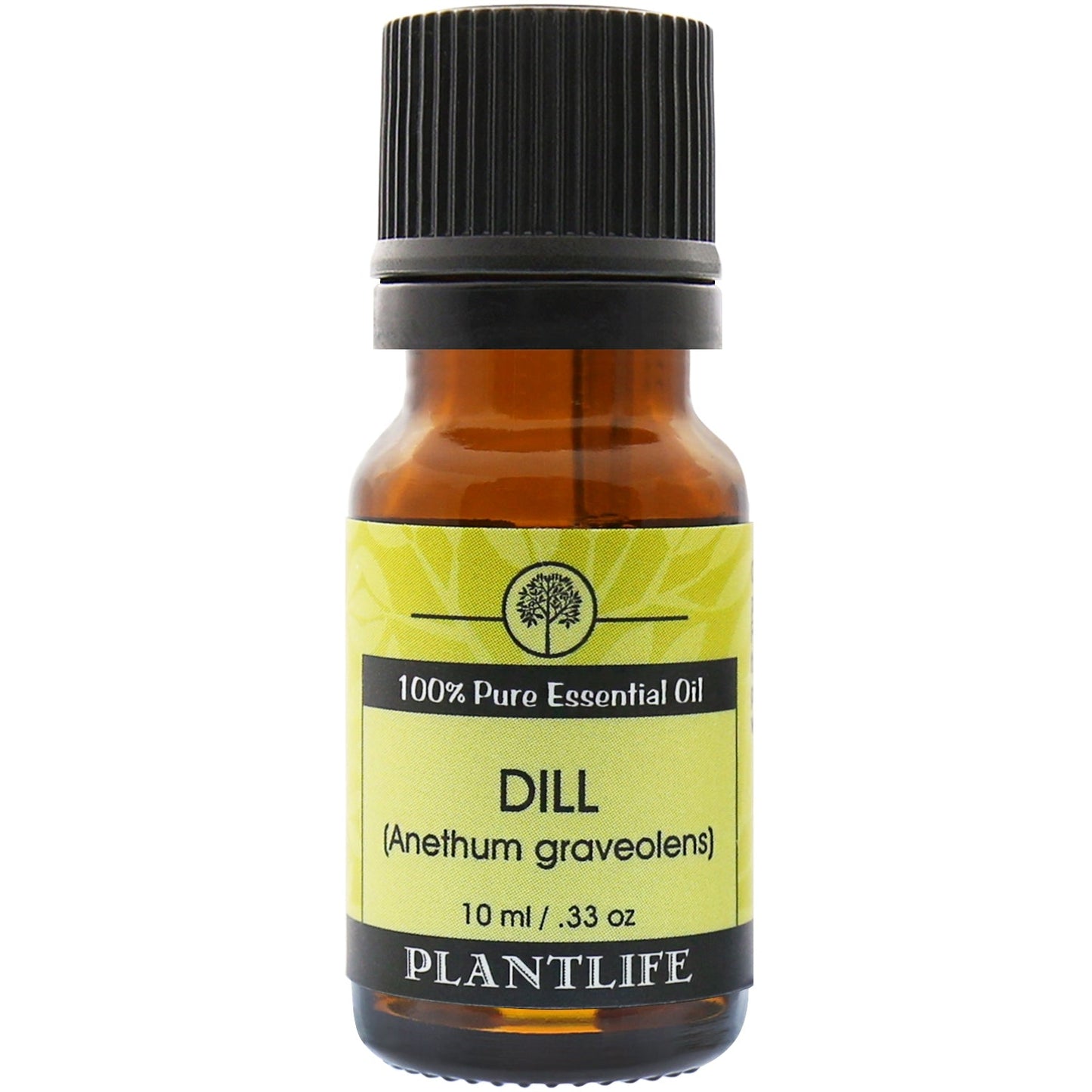 Dill Essential Oil