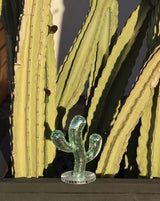 Disco Dancing Cactus, Whimsical Dopamine Decor, Quirky Decorative Object