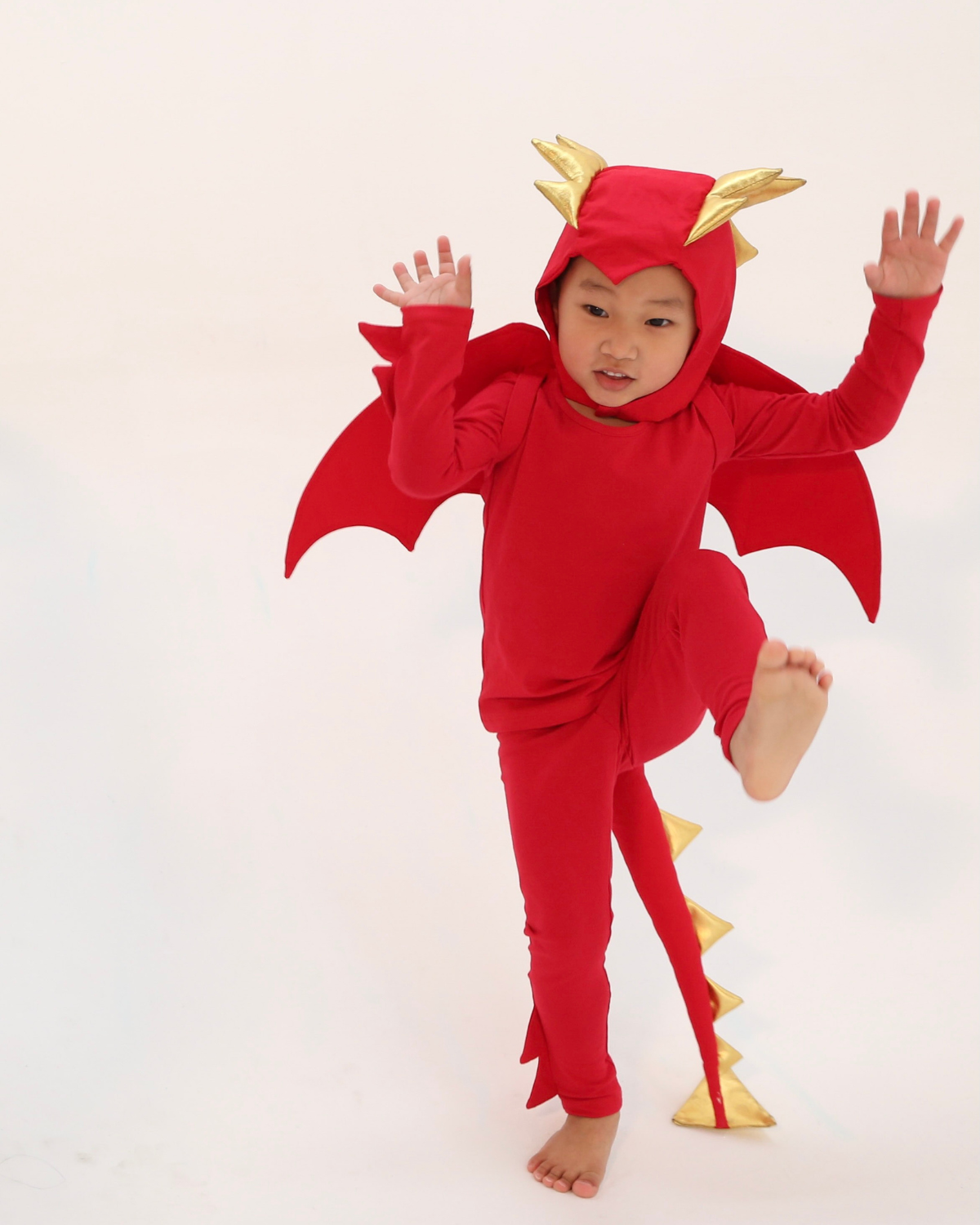 Red Dragon Costume by Band of the Wild