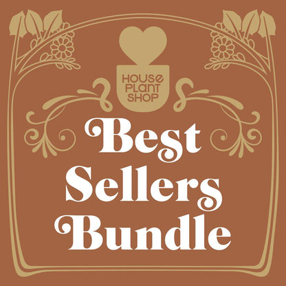 Best Selling Bundle