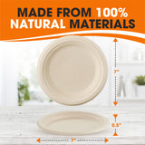 Cheer Collection 7 Inch Biodegradable Plates - 100% Compostable Paper Plates | Eco Friendly Disposable