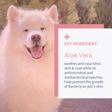 Tear Stain Eye & Facial Wipes for Dogs & Cats