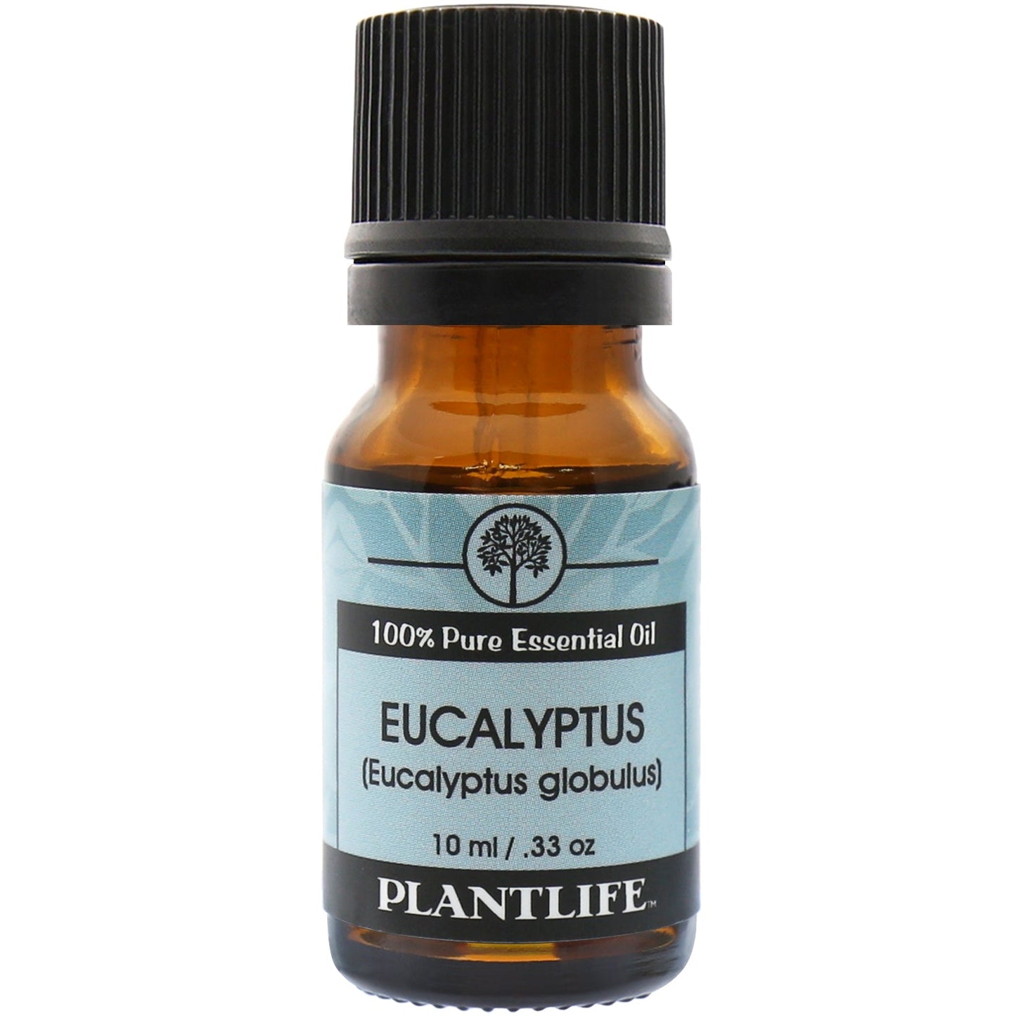 Eucalyptus Essential Oil