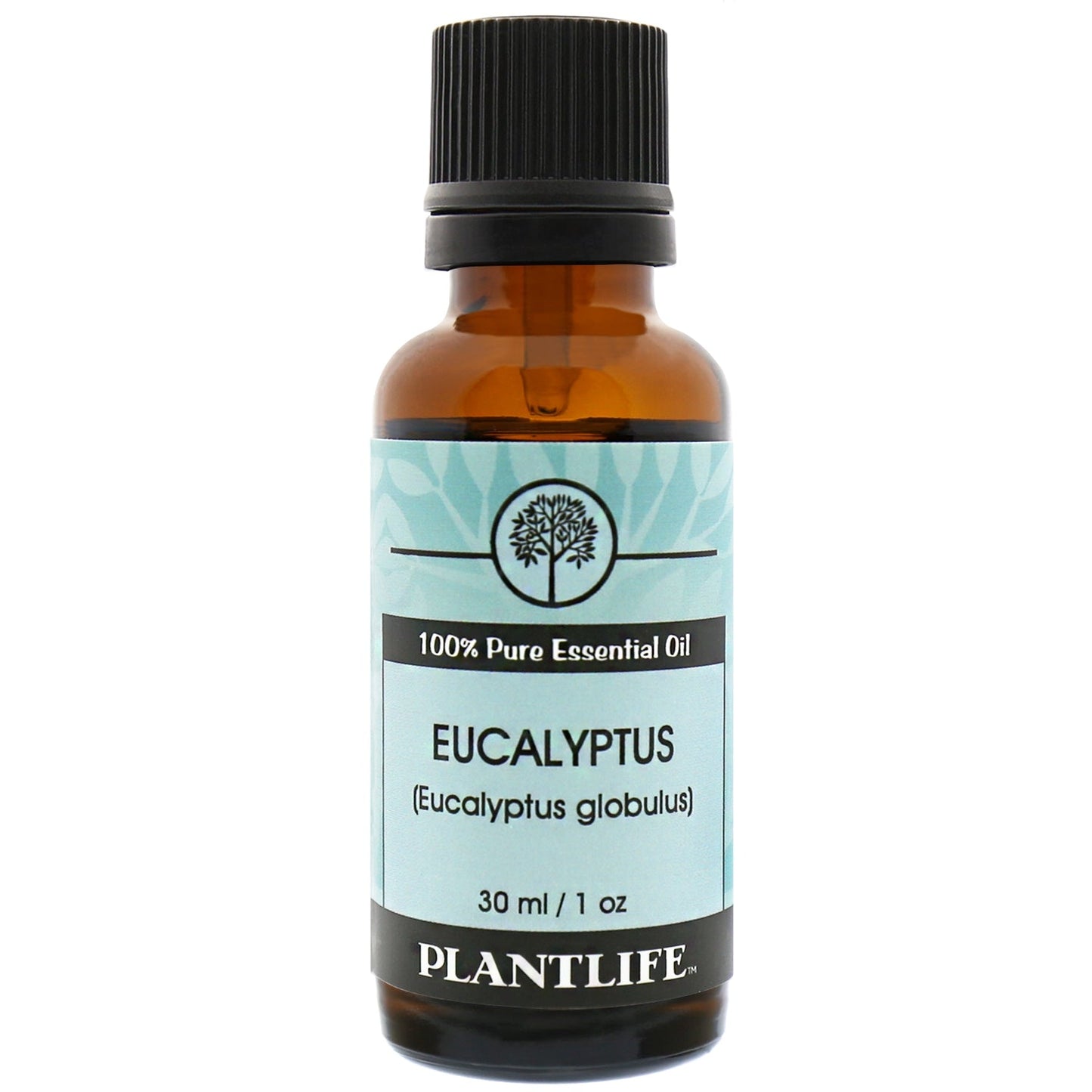 Eucalyptus Essential Oil