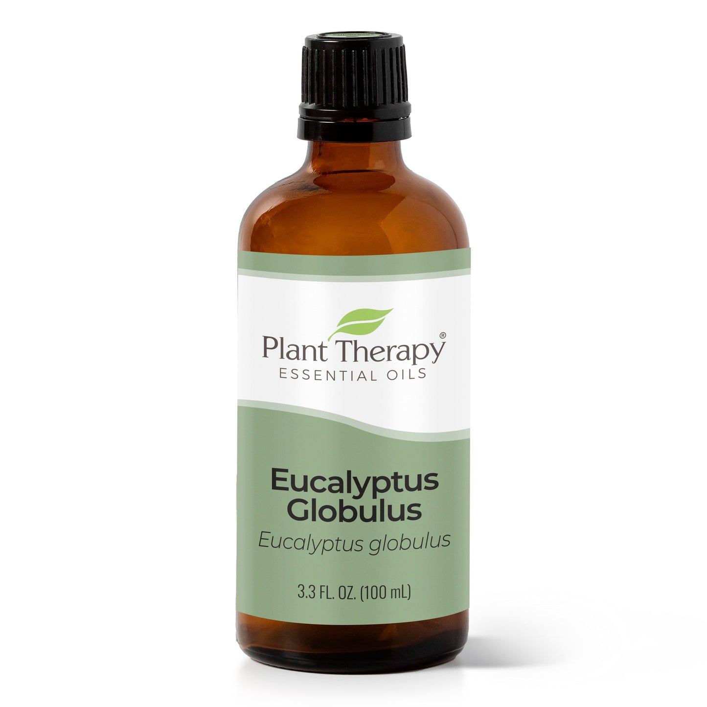 Eucalyptus Globulus Essential Oil