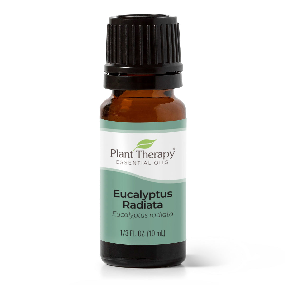 Eucalyptus Radiata Essential Oil