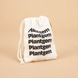 Mistral Tigre Vinato Anemone Corms