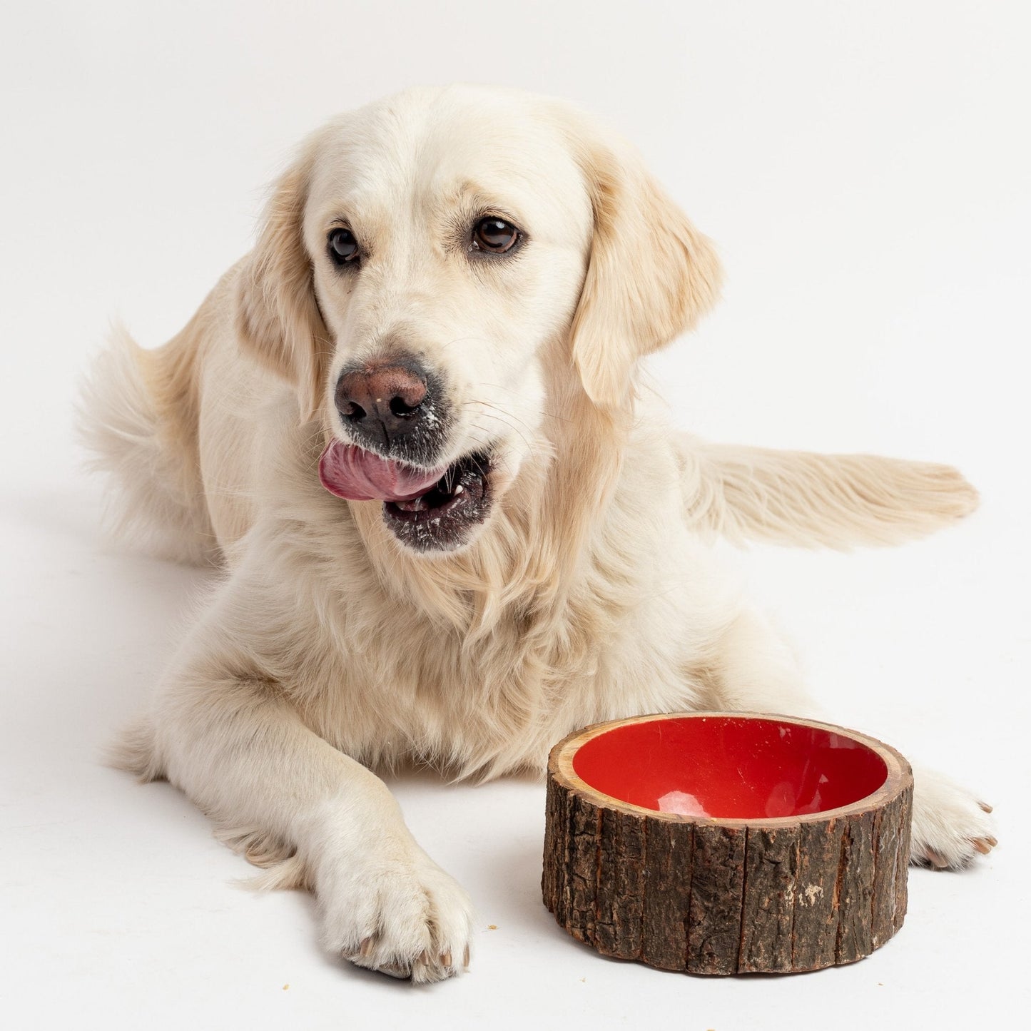 🐶 Farmhouse Wood Dog Bowl – BPA-Free, Non-Slip & Stylish Pet Dish (32oz)