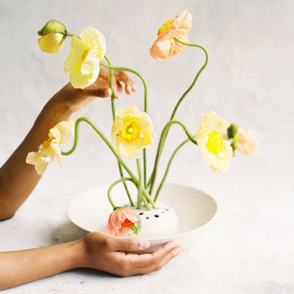 Ceramic Frog Bowl