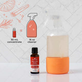 Positively Healthy Germ Fighter Complete Set