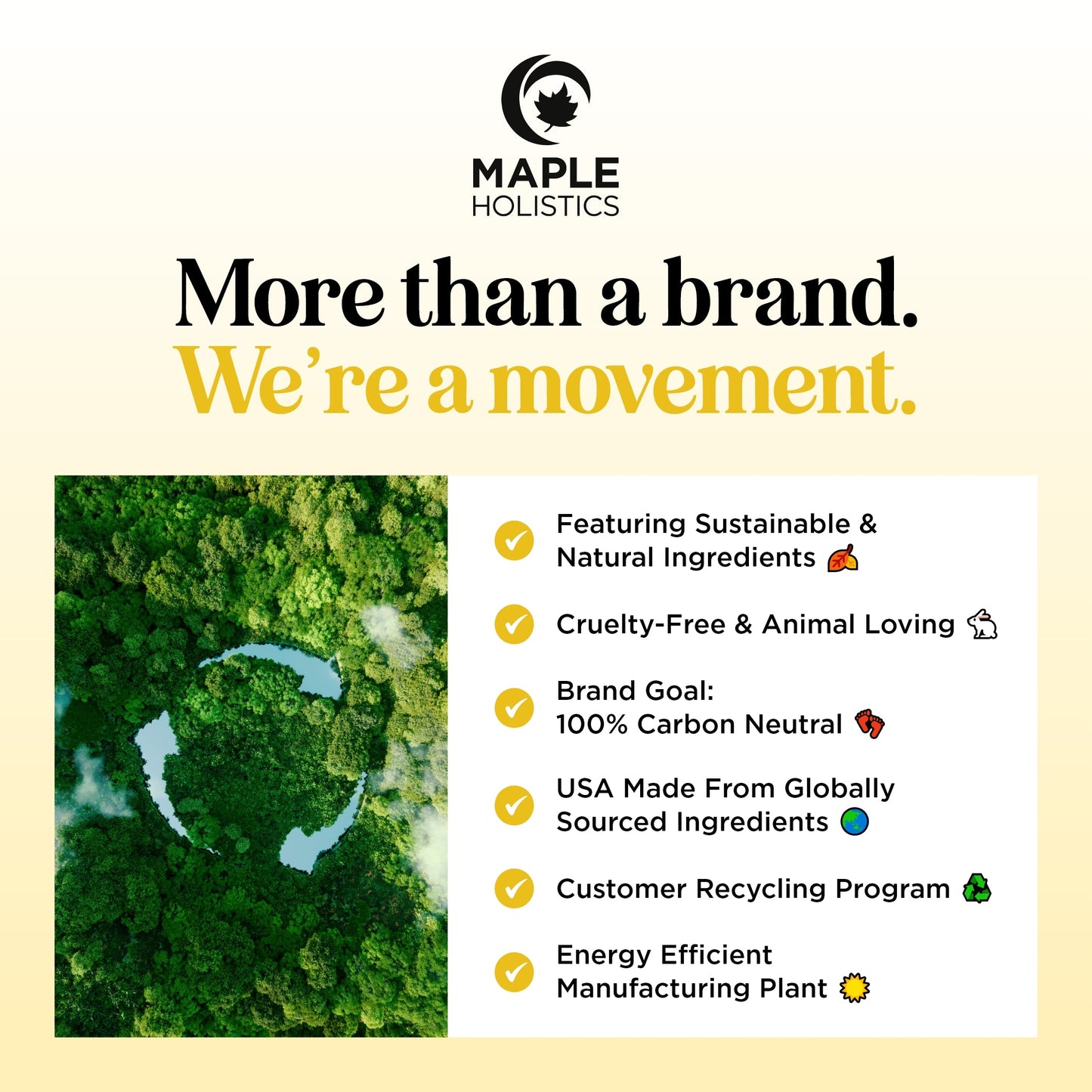 Tea Tree Peppermint Shampoo