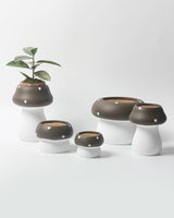 Handmade Cute Whimsical Ceramic Mushrrom Plant Flower Pot for Indoor / Outddor