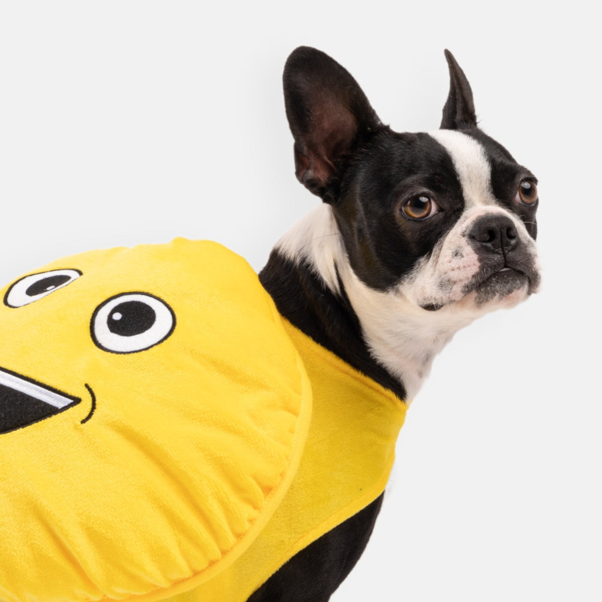 Happy Face Dog Costume