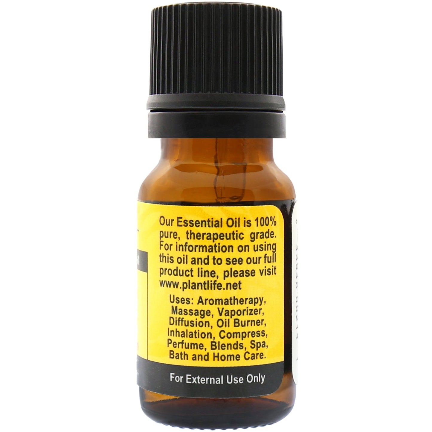 Helichrysum Essential Oil