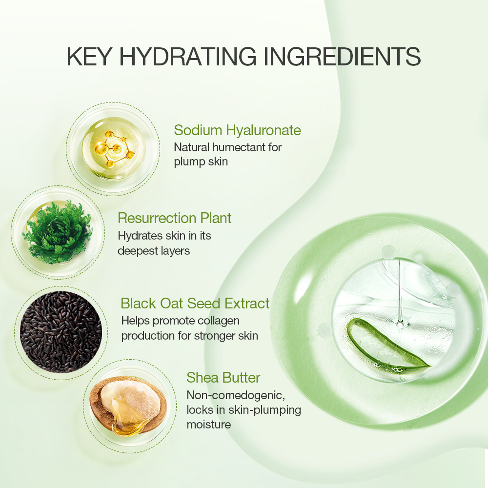 Aloe Hydrating Moisturizer