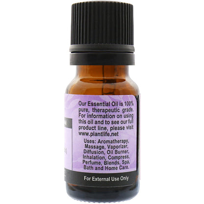 Hyssop Essential Oil