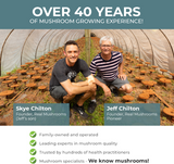 Turkey Tail Extract - Bulk Powder by Real Mushrooms