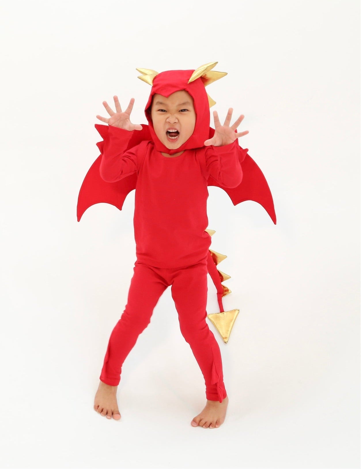 Red Dragon Costume by Band of the Wild